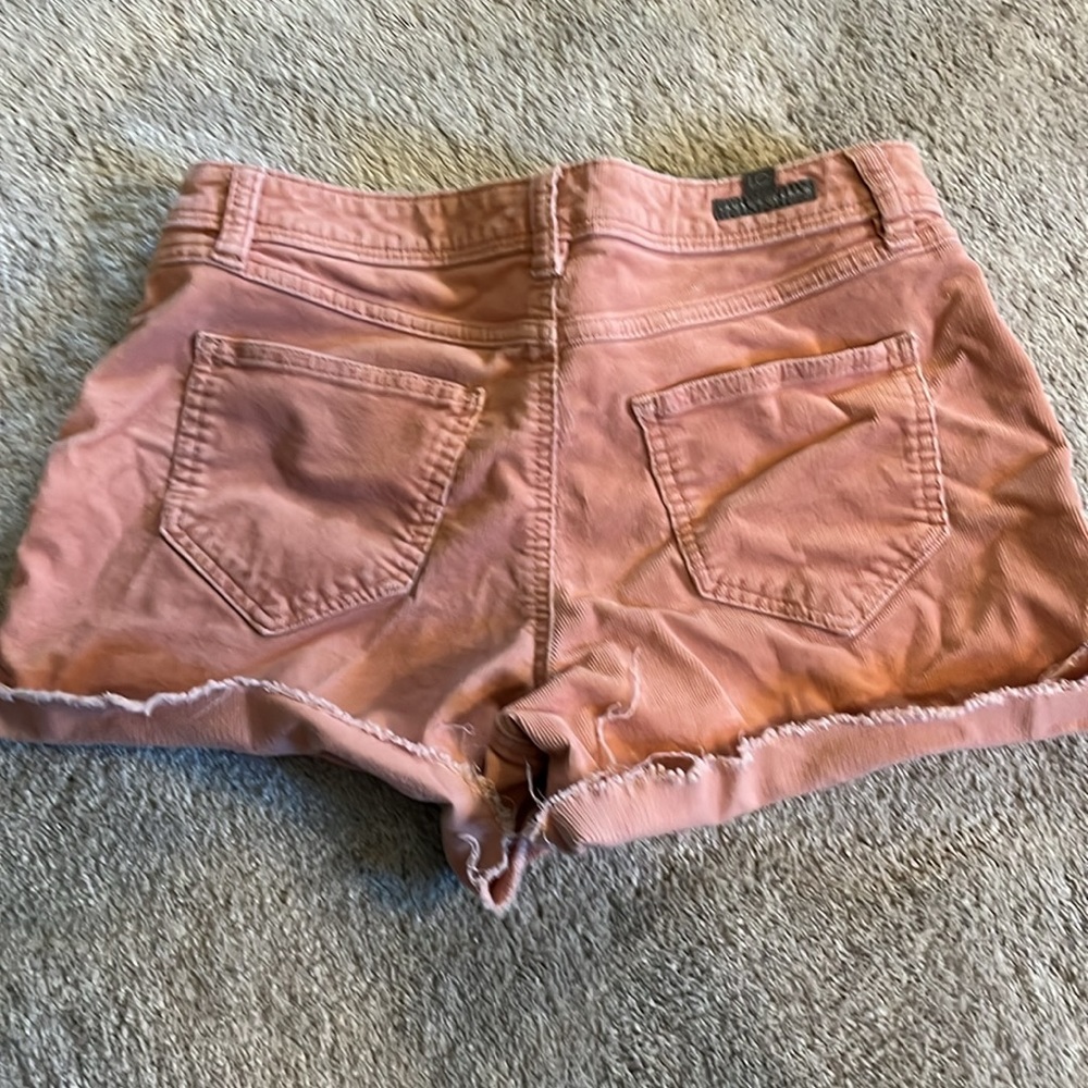 3/$20 Cute corduroy shorts by LC Lauren Conrad. - Picture 3 of 3